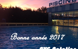 Bonne année 2017