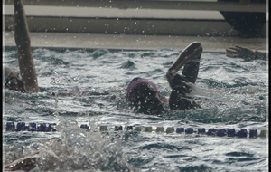 642b41fcd4cc6_P1120664.jpg