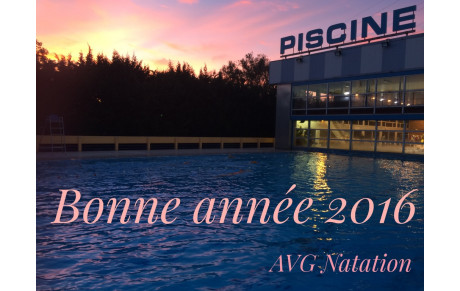 Bonne année 2016