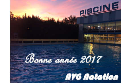 Bonne année 2017